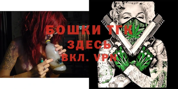 шишки Заводоуковск