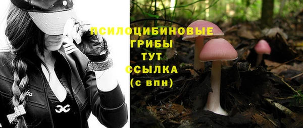 Альфа ПВП Абдулино