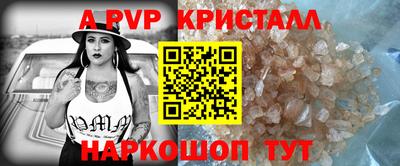 шишки Тверь
