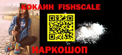 шишки Тверь