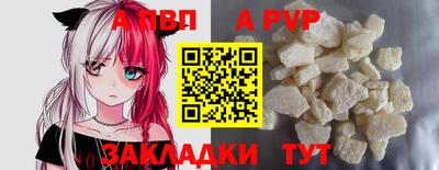 шишки Тверь
