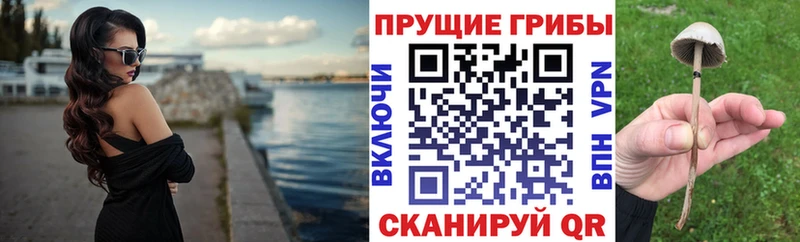 Псилоцибиновые грибы Psilocybe  наркошоп  Энгельс 