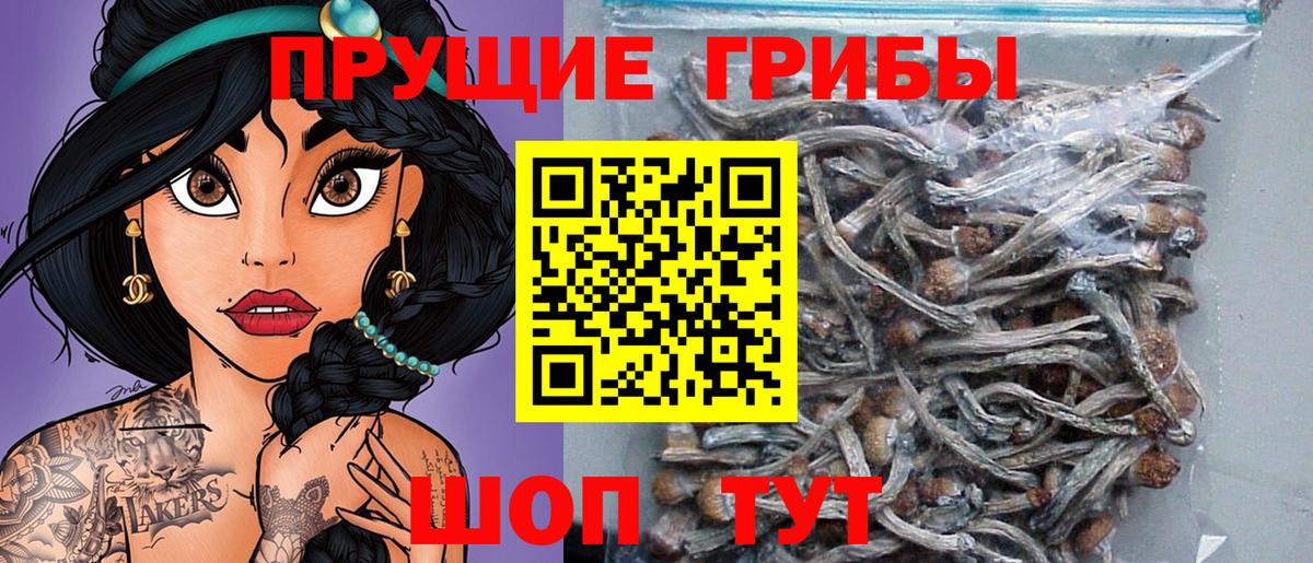 Энгельс  Псилоцибиновые грибы MAGIC MUSHROOMS  сколько стоит  Псилоцибиновые грибы прущие грибы  Вход с VPN 