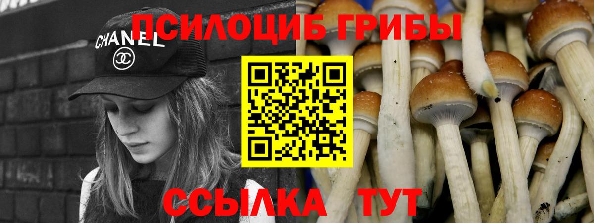 Псилоцибиновые грибы Psilocybe Энгельс